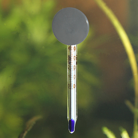 JBL thermometer Mini
