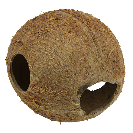 JBL Cocos Cava 1/1 M