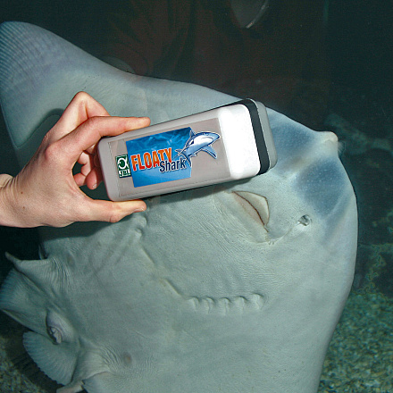 JBL Floaty Shark
