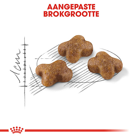 Royal Canin Kattenvoer Kitten 10 kg