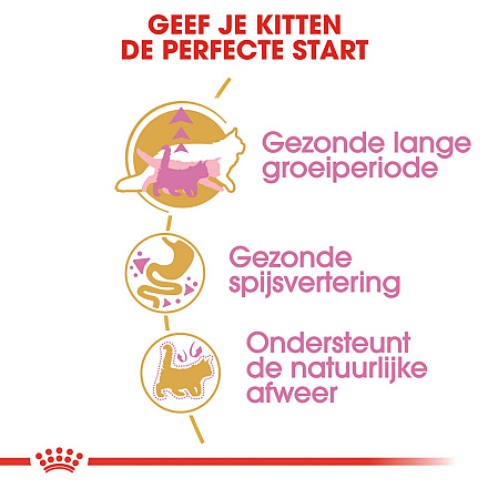 Royal Canin Kattenvoer Maine Coon Kitten <br>10 kg