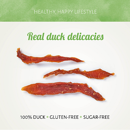Antos Chicken D'Light Duck 100 gr