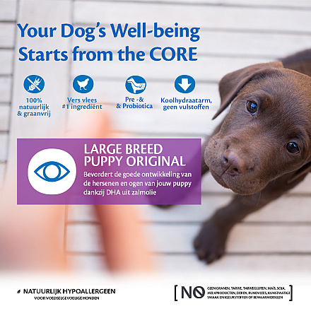 Wellness CORE hondenvoer Large Breed Puppy 2,75 kg