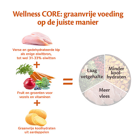 Wellness CORE hondenvoer Large Breed Puppy 2,75 kg