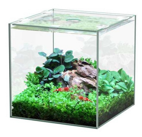 Aquatlantis aquarium Volglas Kubus 5 ltr