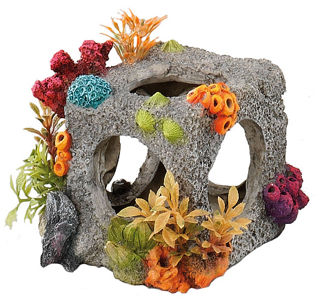 Aqua D'ella cube habitat S/M