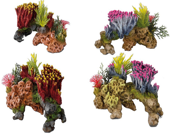 Aqua D'ella coral set medio colored assorti