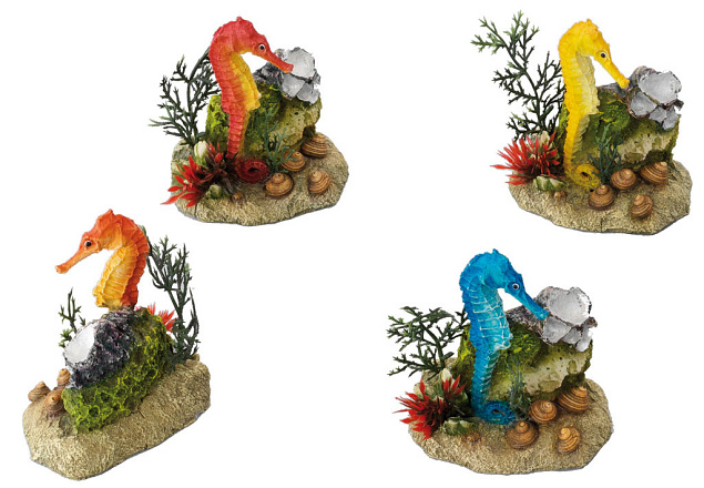 Aqua D'ella seahorse with plants
