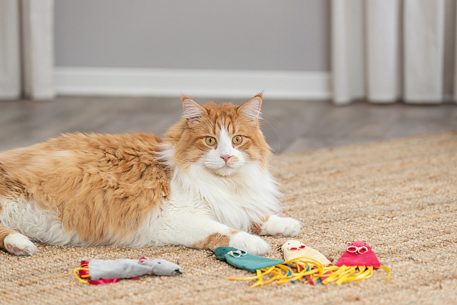 TRIXIE Kattenspeelgoed Muis Catnip Assorti
