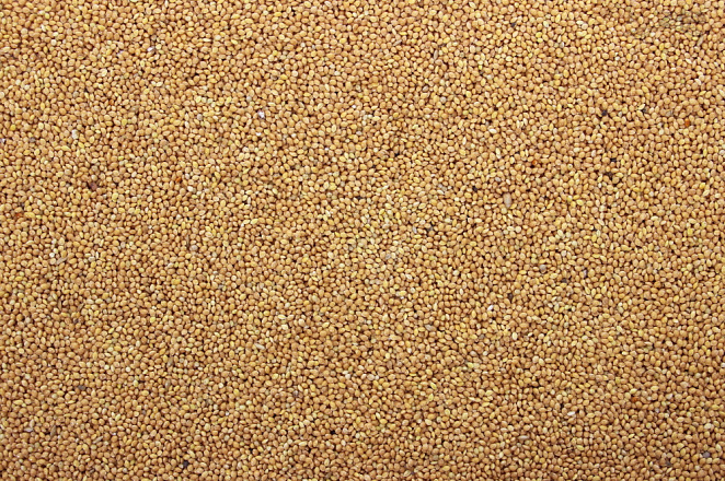 Milletzaad Plata 5 kg