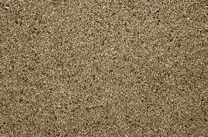 Witzaad 20 kg