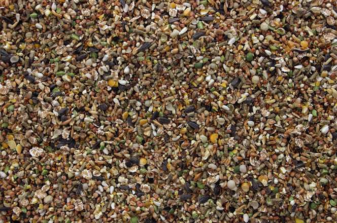 Kippen Delicatesse <br>20 kg
