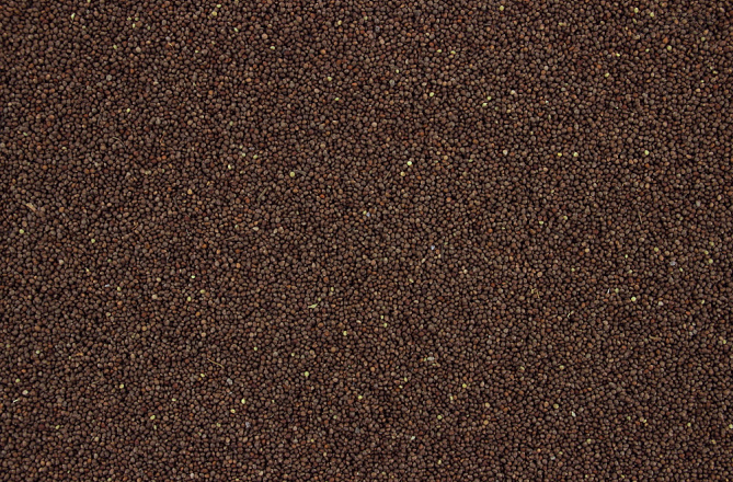 Perillazaad Bruin 650 gr