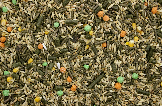 Konijnenvoer Gemengd 5 kg
