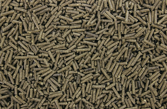 Chinchillakorrels 1 kg