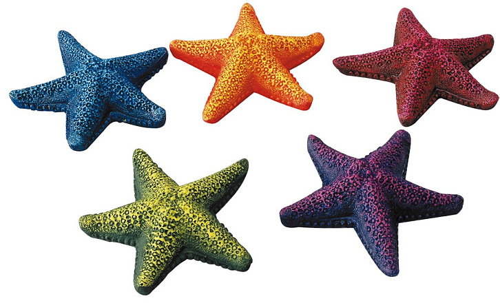 Aqua D'ella star fish assorti