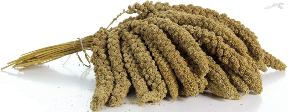 Trosgierst 5 kg