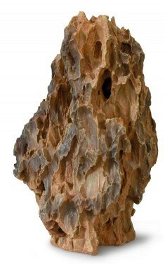 Aqua D'ella dragon <br>rock 2