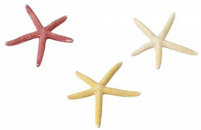 Aqua D'ella starfish S assorti