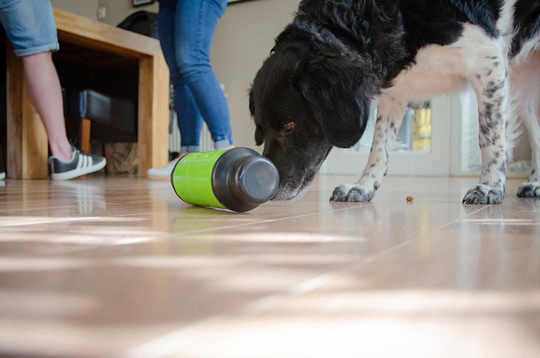 Eat Slow Live Longer Feed and Treat blauw