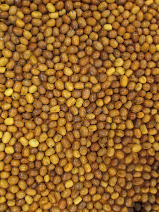 Duivenbonen 20 kg